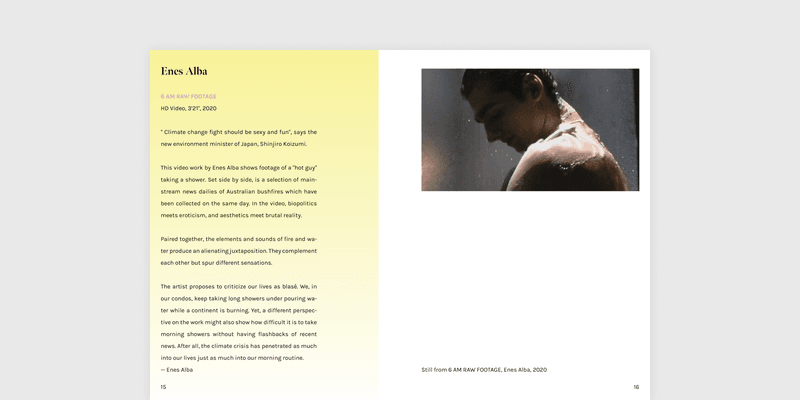 Page from the exhibition catalogue describing the work of Enes Alba