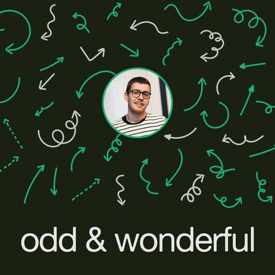Graphic design for Odd & Wonderful