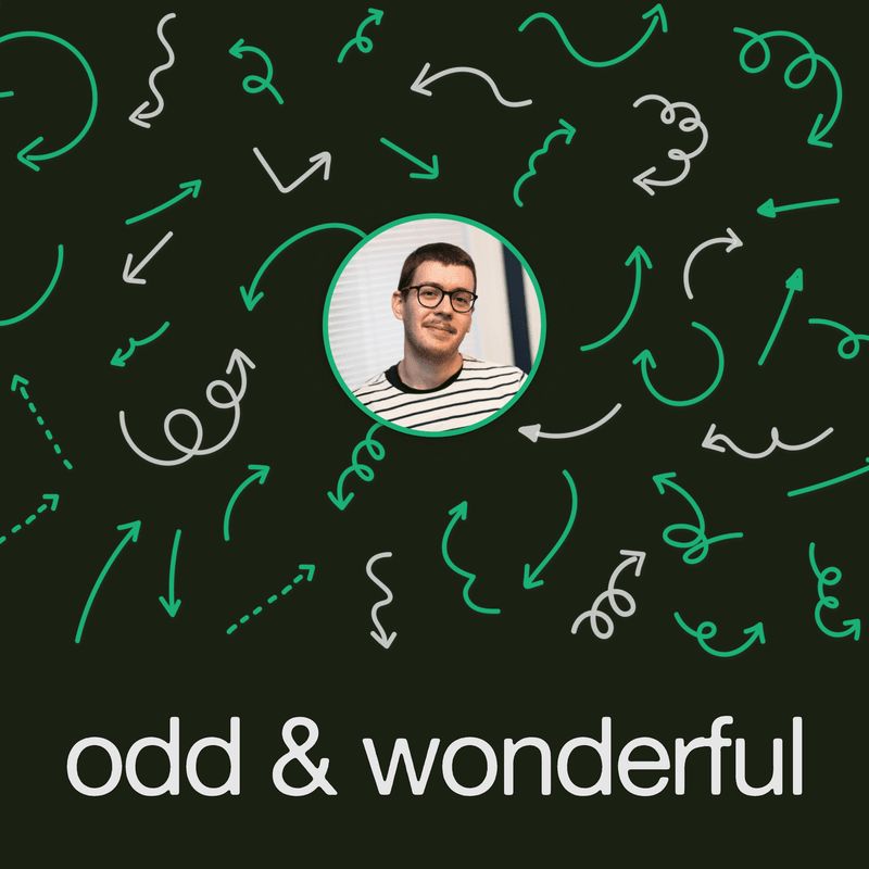 Graphic design for Odd & Wonderful
